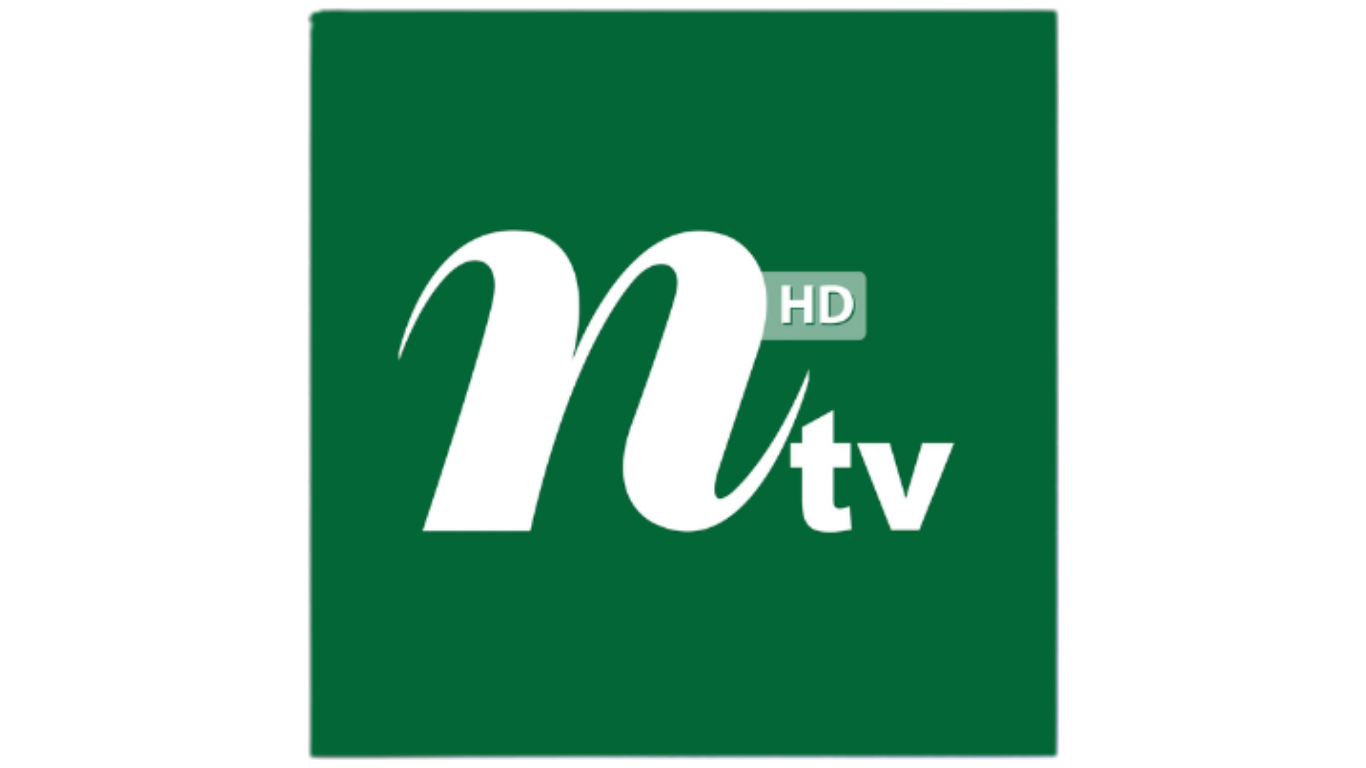 Media Partner
